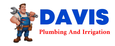 Trusted plumber in RICO